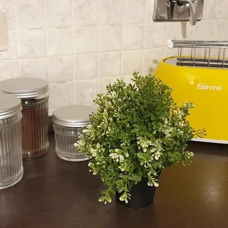 Saint Peter Vatican Large Barbara Casa Roma