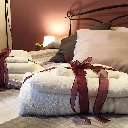 Saint Peter Vatican Large Barbara Casa Roma