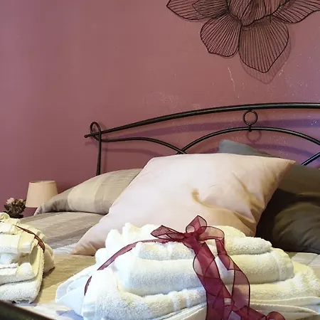 Apartamento Saint Peter Vatican Large Barbara Casa Roma