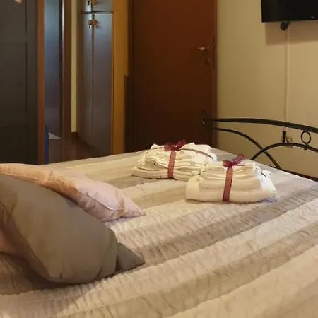 Saint Peter Vatican Large Barbara Casa