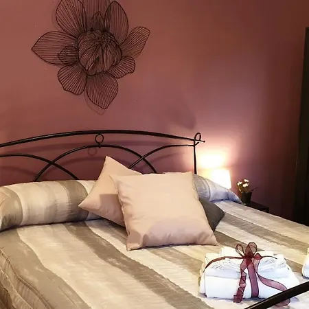 Saint Peter Vatican Large Barbara Casa Apartamento