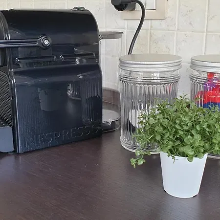 Saint Peter Vatican Large Barbara Casa Apartamento *