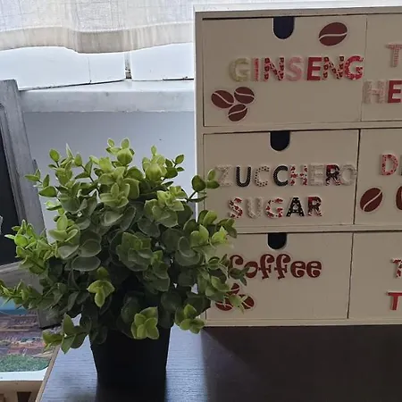 Apartamento Saint Peter Vatican Large Barbara Casa *